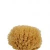 Redecker Natural Bath Sponge