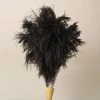 Redecker Feather Duster Black 70 cm