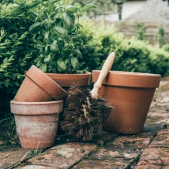 Redecker Flower Pot Brush